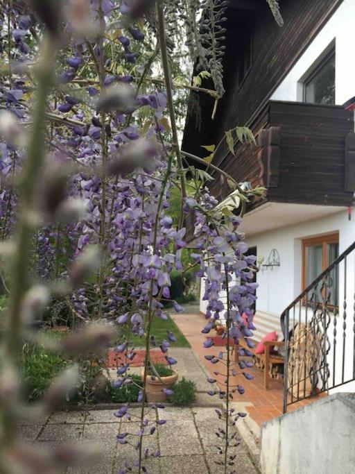 Charmantes Landhaus Mit Garten Und Traumhaftem Fernblick Thal  Eksteriør billede