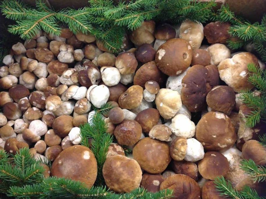 Charmantes Landhaus Mit Garten Und Traumhaftem Fernblick Thal  Eksteriør billede