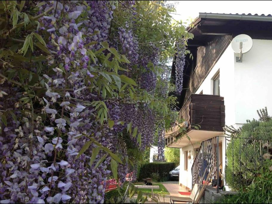 Charmantes Landhaus Mit Garten Und Traumhaftem Fernblick Thal  Eksteriør billede