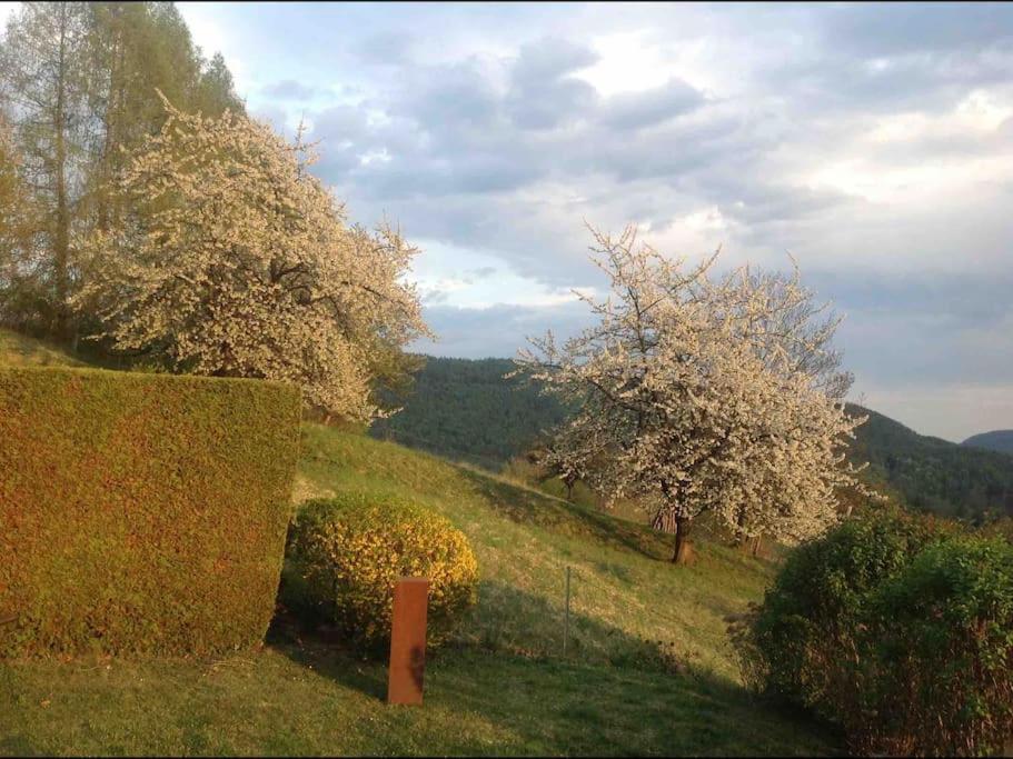 Charmantes Landhaus Mit Garten Und Traumhaftem Fernblick Thal  Eksteriør billede
